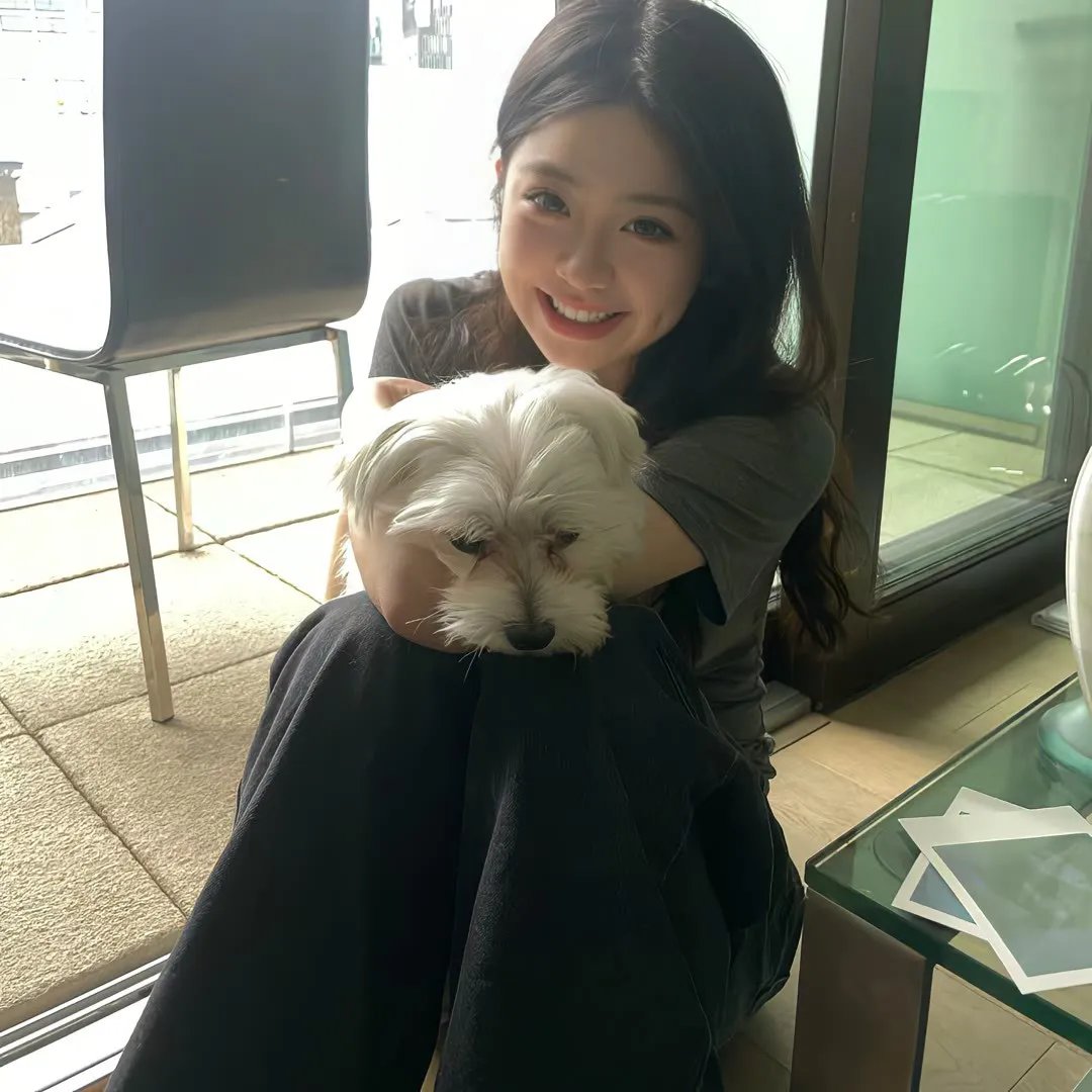 红杏